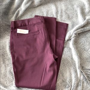 Pixie Ankle Length Pant